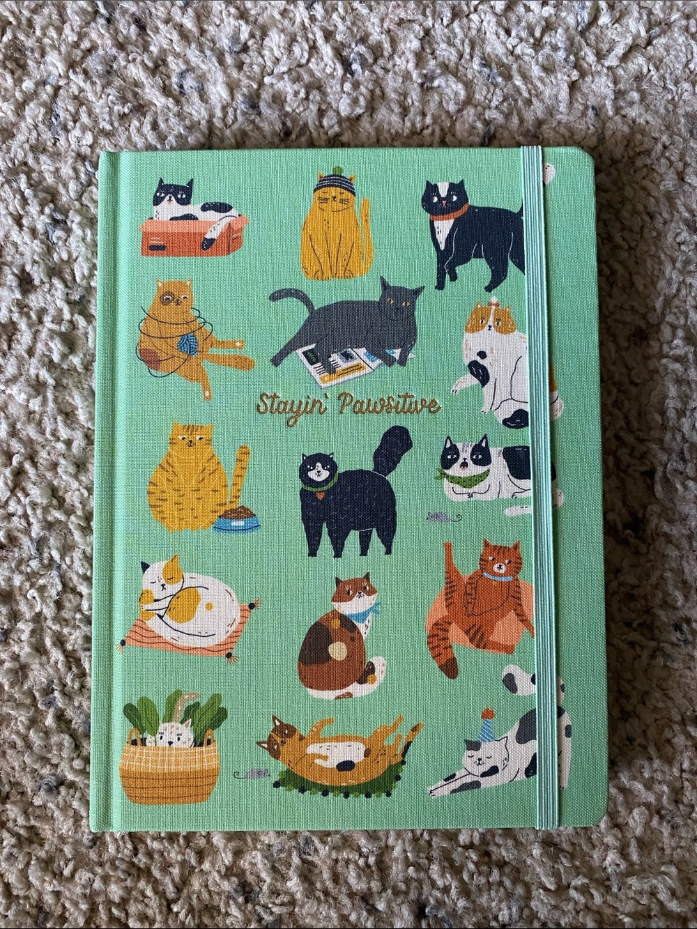Up & Up Hardcover Stayin' Pawsitive Cat Notebook (NWOT)